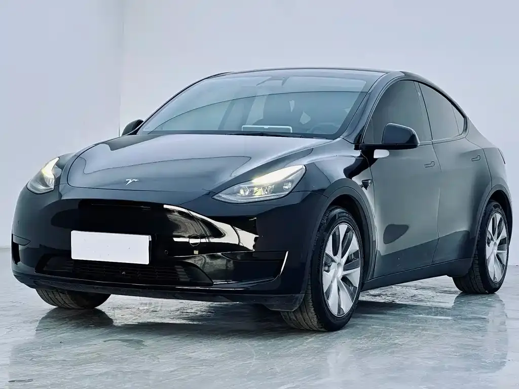 Tesla Model Y 2022 из CN, фото 1