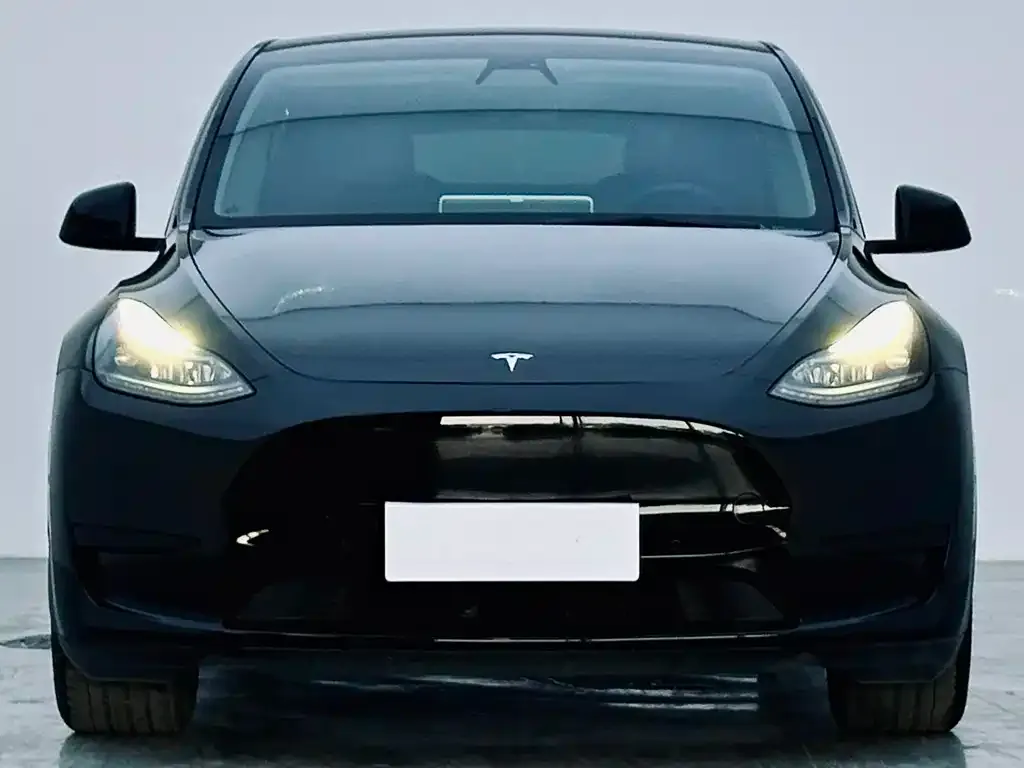 Tesla Model Y 2022 из CN, фото 2