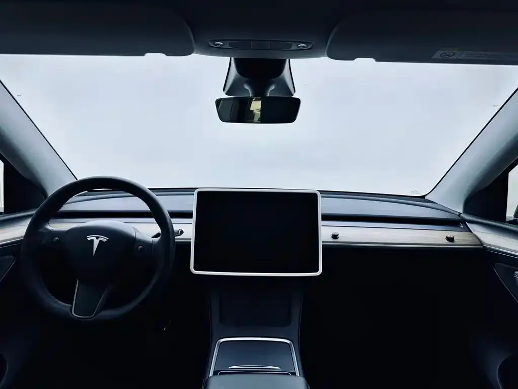 Tesla Model Y 2022 из CN, фото 4
