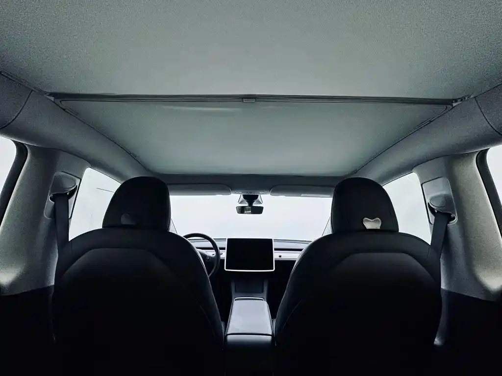 Tesla Model Y 2022 из CN, фото 5