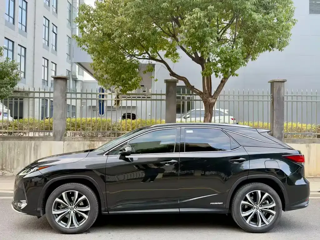 Lexus RX — фото 10