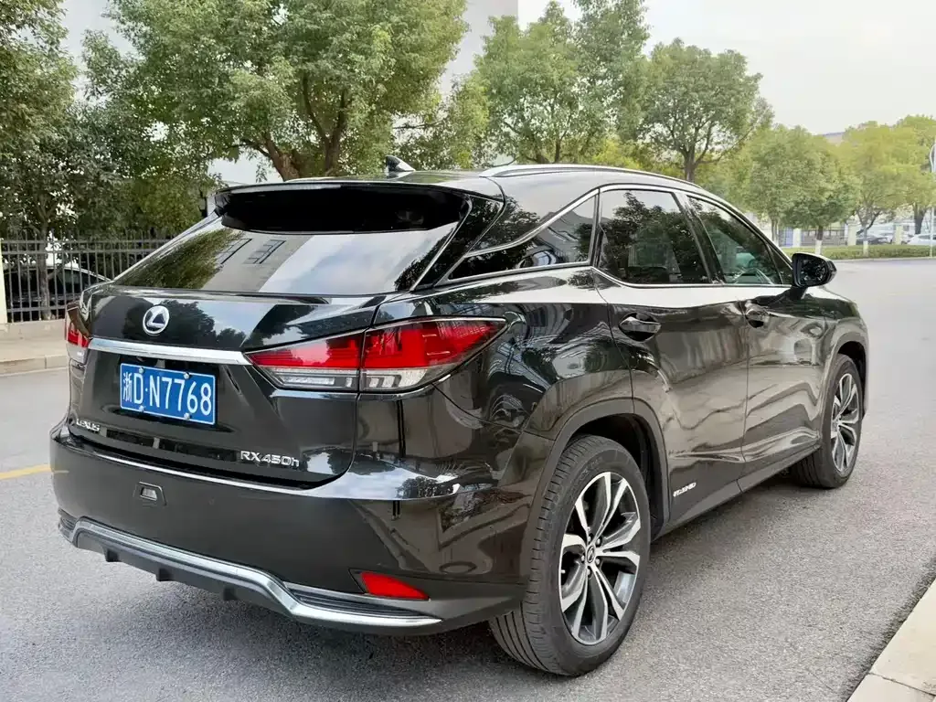 Lexus RX — фото 8