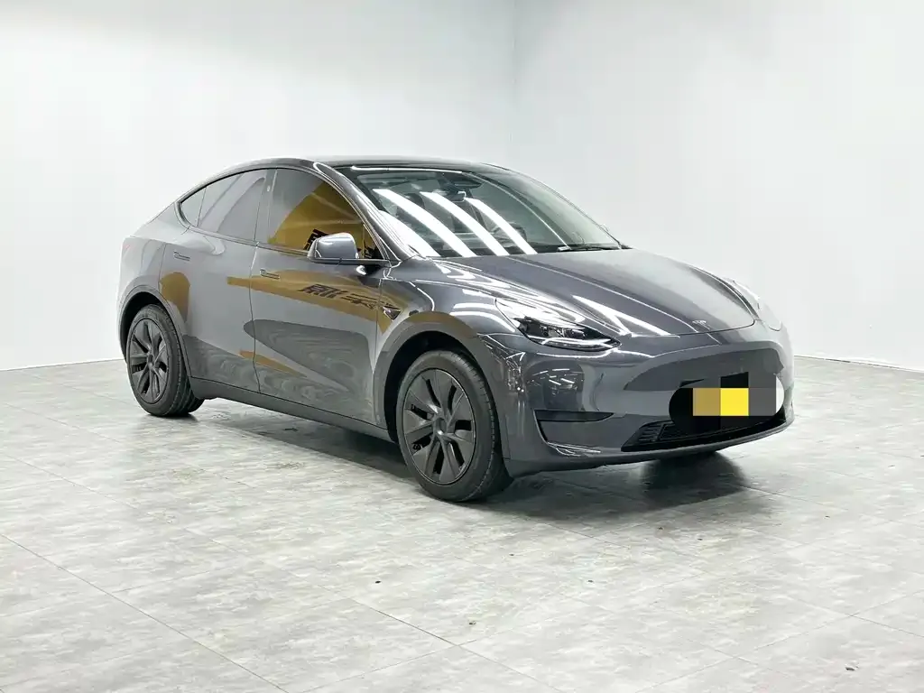Tesla Model Y — фото 9
