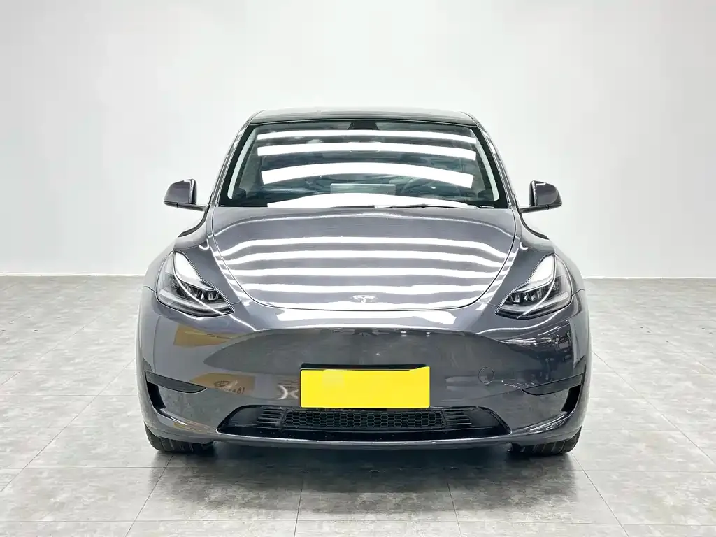 Tesla Model Y — фото 5
