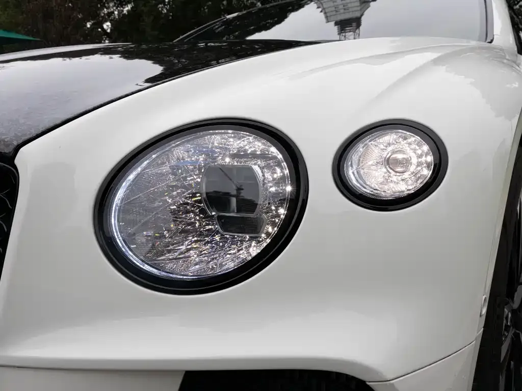 Bentley Continental 2021 из CN, фото 5