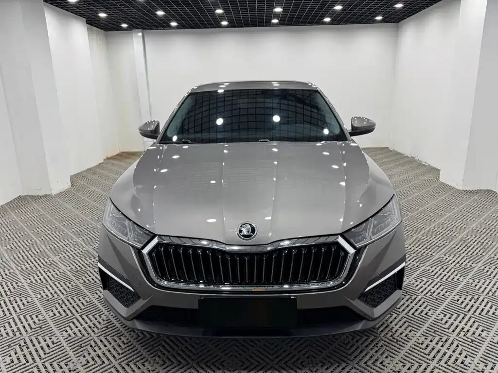Skoda Octavia 2022 из CN, фото 6