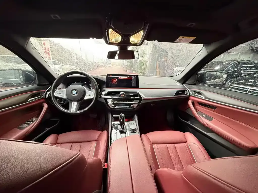 BMW 5 Series 2023 из CN, фото 8