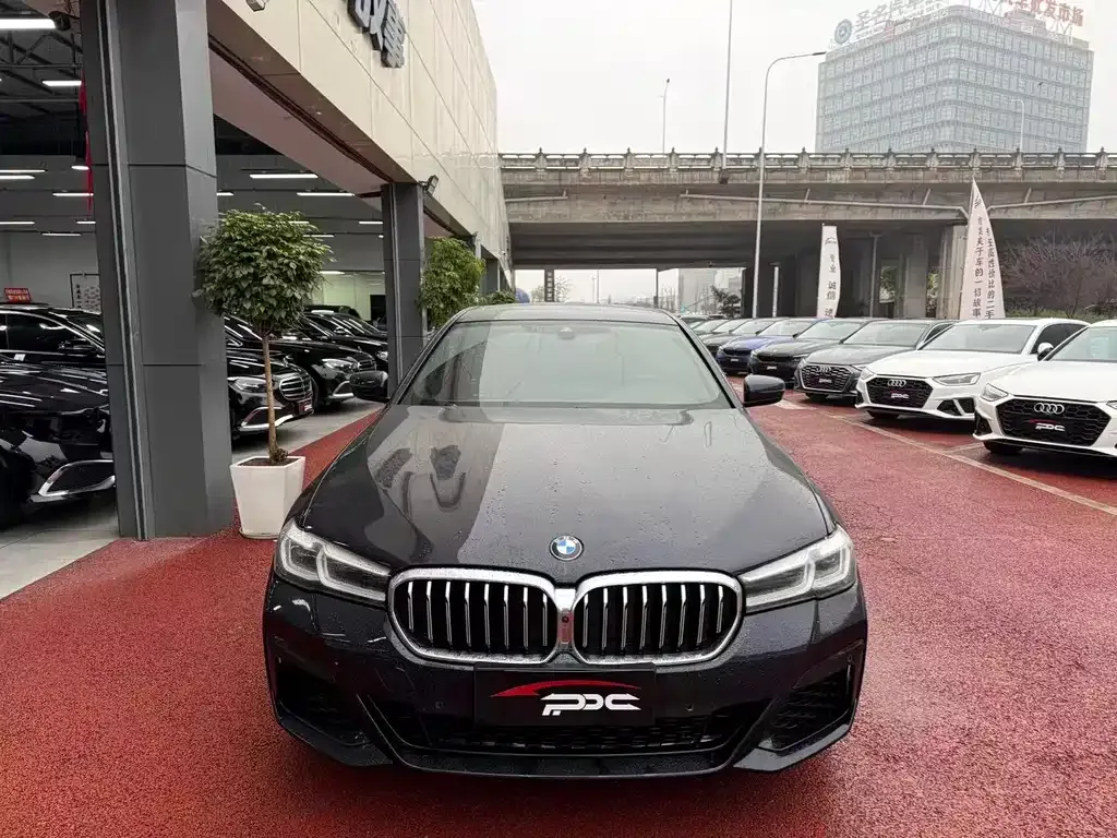 BMW 5 Series 2023 из CN, фото 10
