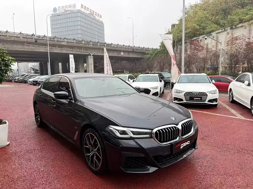 BMW 5 Series 2023 из CN, фото 4