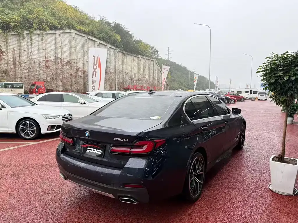 BMW 5 Series 2023 из CN, фото 6