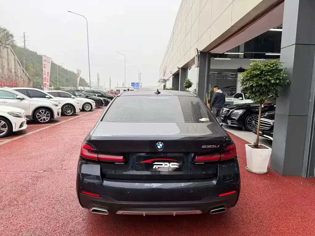 BMW 5 Series 2023 из CN, фото 9