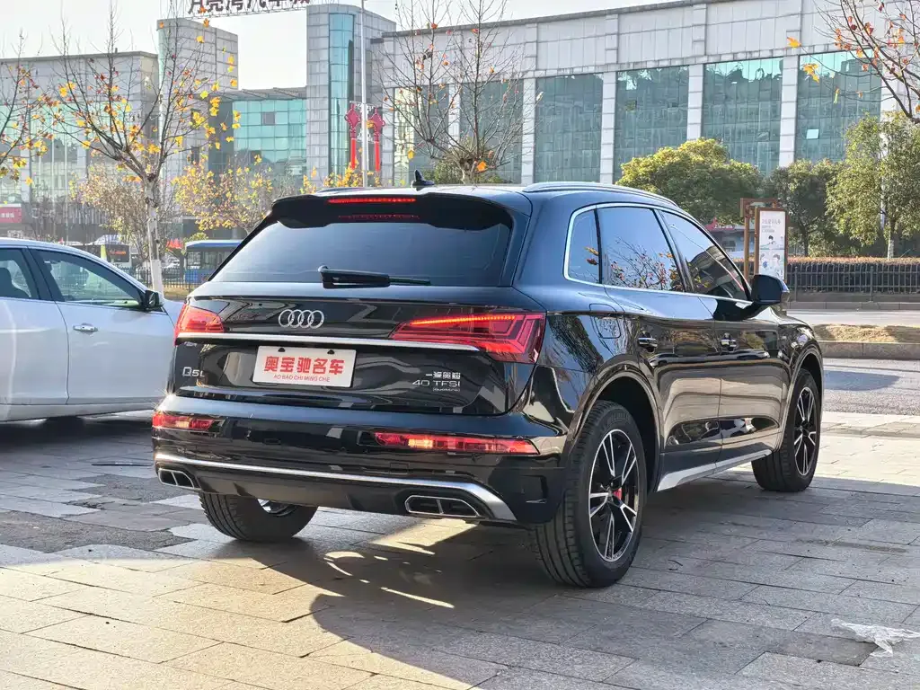 Audi Q5L 2022 из CN, фото 10