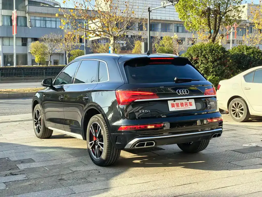 Audi Q5L 2022 из CN, фото 9