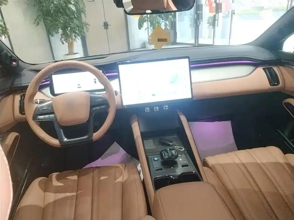 BYD L EV 2024 из CN, фото 10