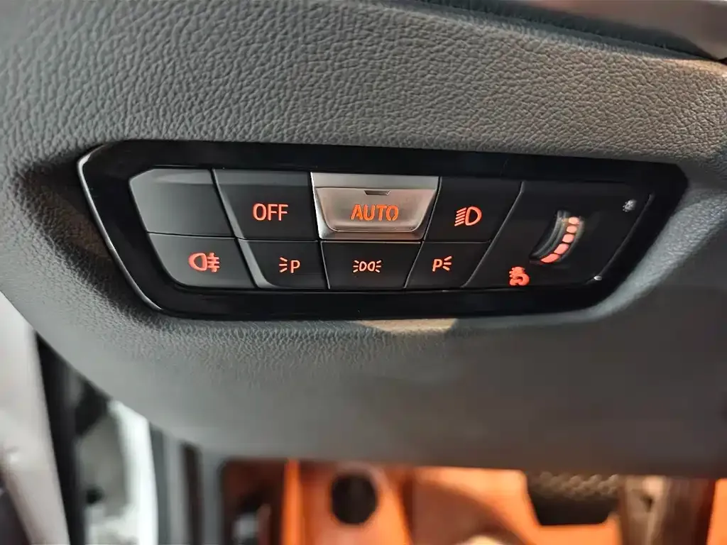 BMW 3 Series 2021 из CN, фото 7