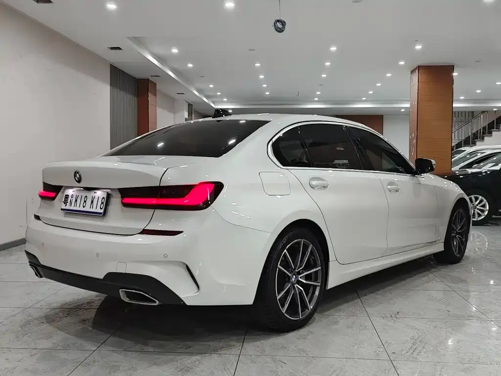 BMW 3 Series 2021 из CN, фото 9