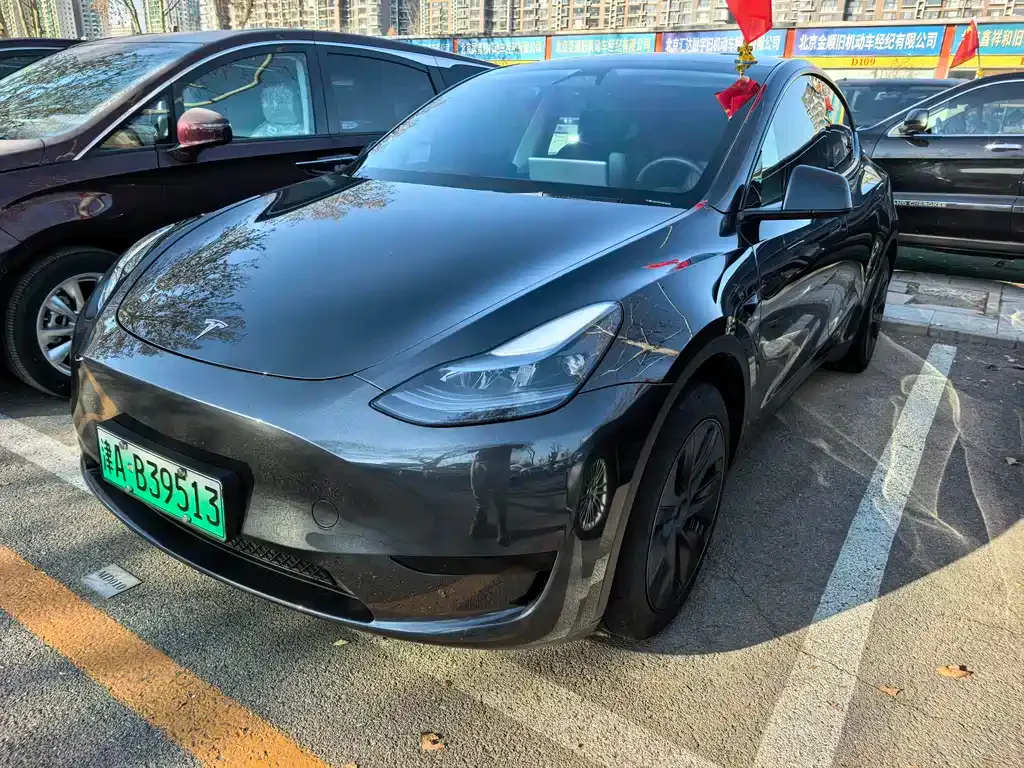 Tesla Model Y 2024 из CN, фото 1