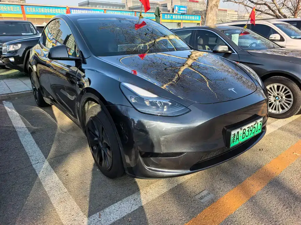Tesla Model Y 2024 из CN, фото 9