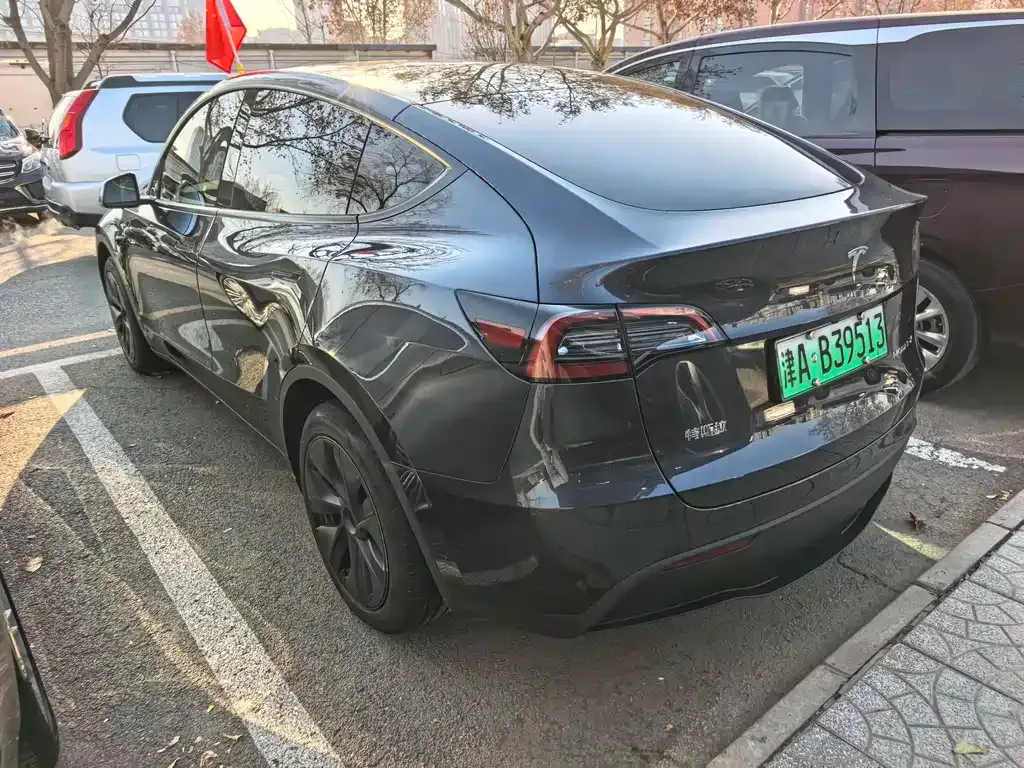 Tesla Model Y 2024 из CN, фото 7
