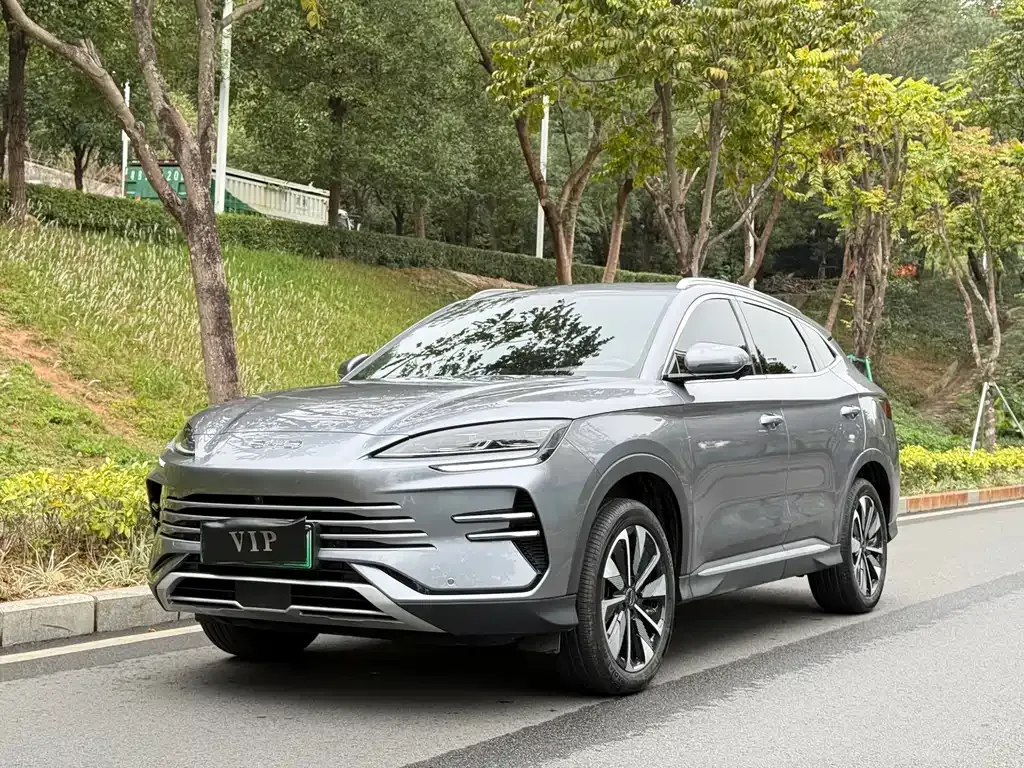 BYD PLUS New Energy 2024 из CN, фото 1
