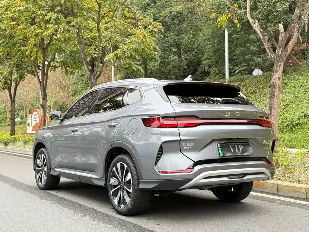 BYD PLUS New Energy 2024 из CN, фото 5