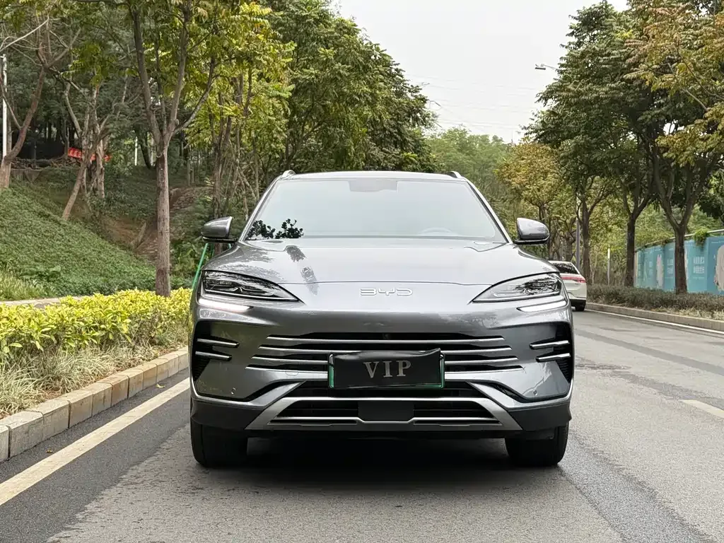 BYD PLUS New Energy 2024 из CN, фото 10