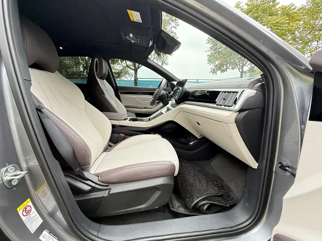 BYD PLUS New Energy 2024 из CN, фото 4