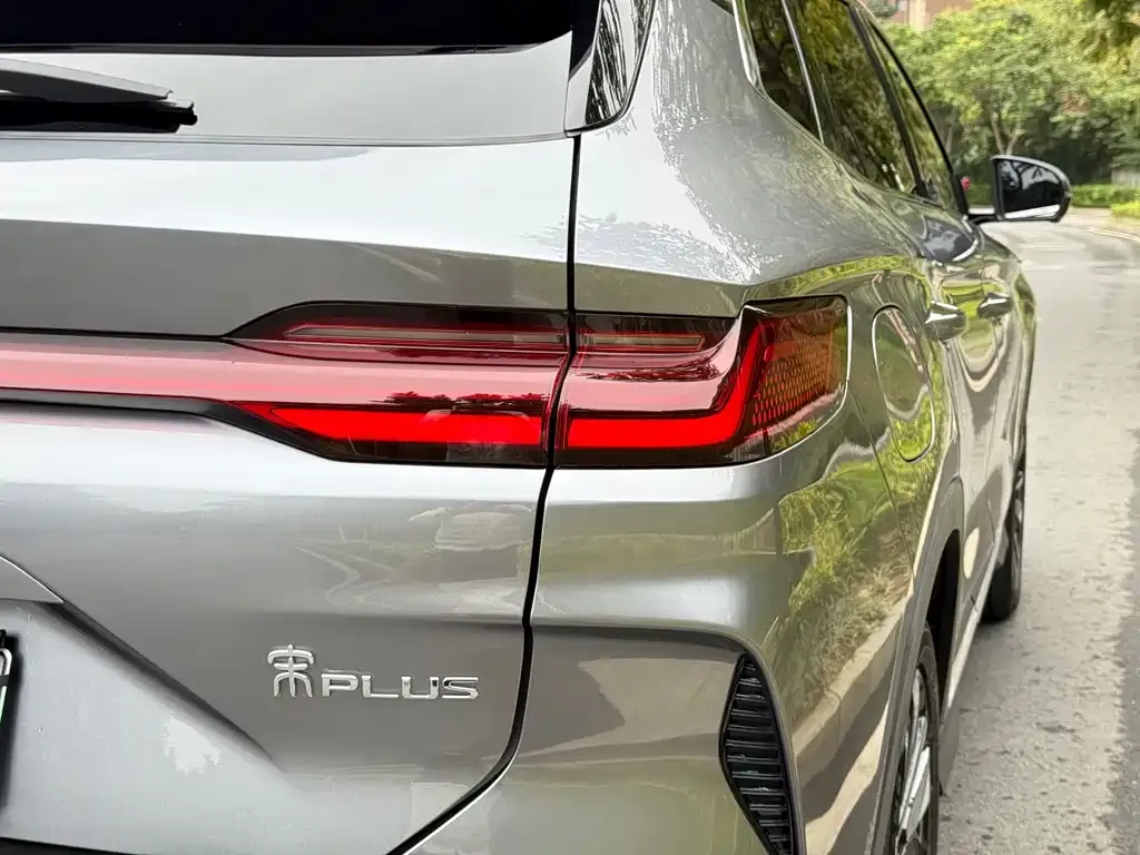 BYD PLUS New Energy 2024 из CN, фото 2