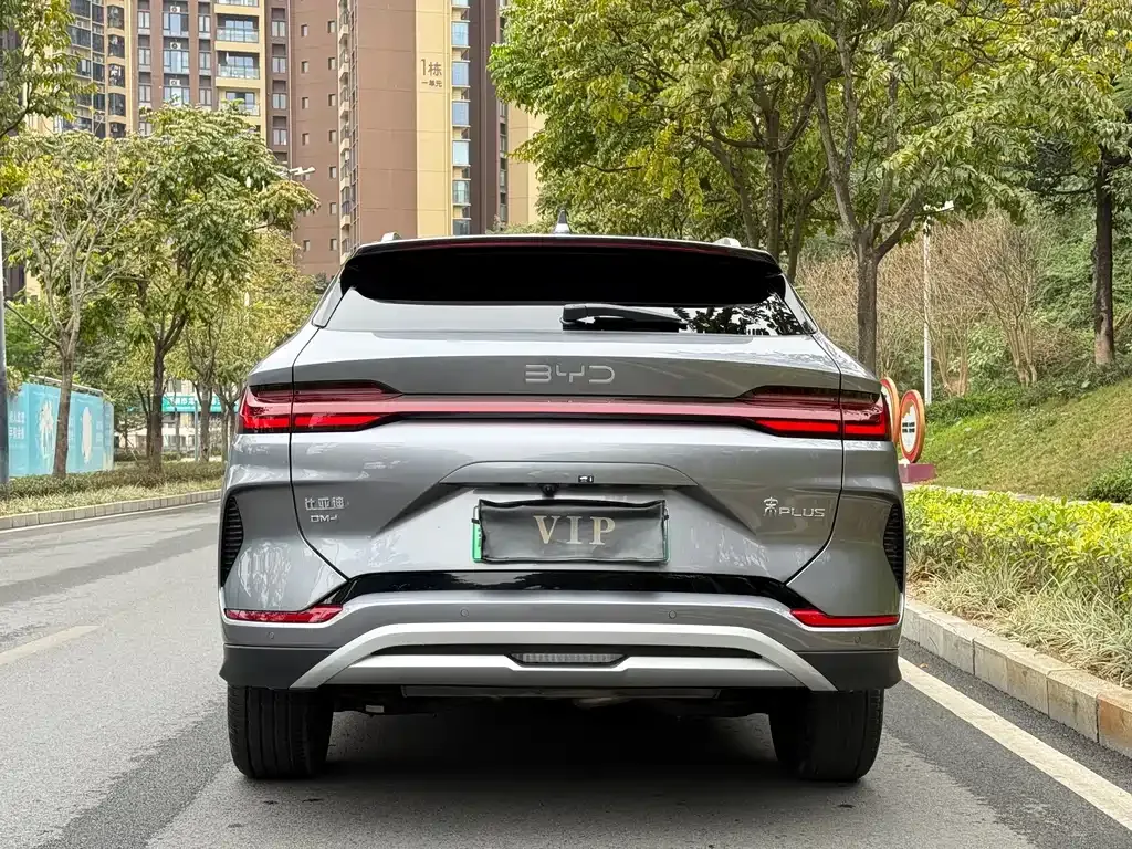 BYD PLUS New Energy 2024 из CN, фото 3
