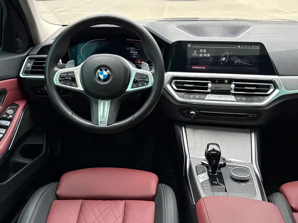 BMW 3 Series 2022 из CN, фото 5