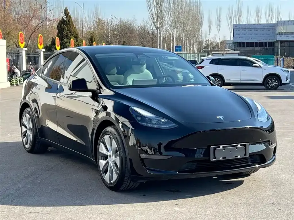 Tesla Model Y 2021 из CN, фото 1