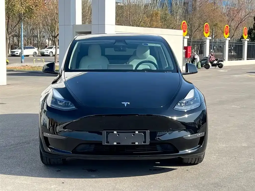 Tesla Model Y 2021 из CN, фото 2