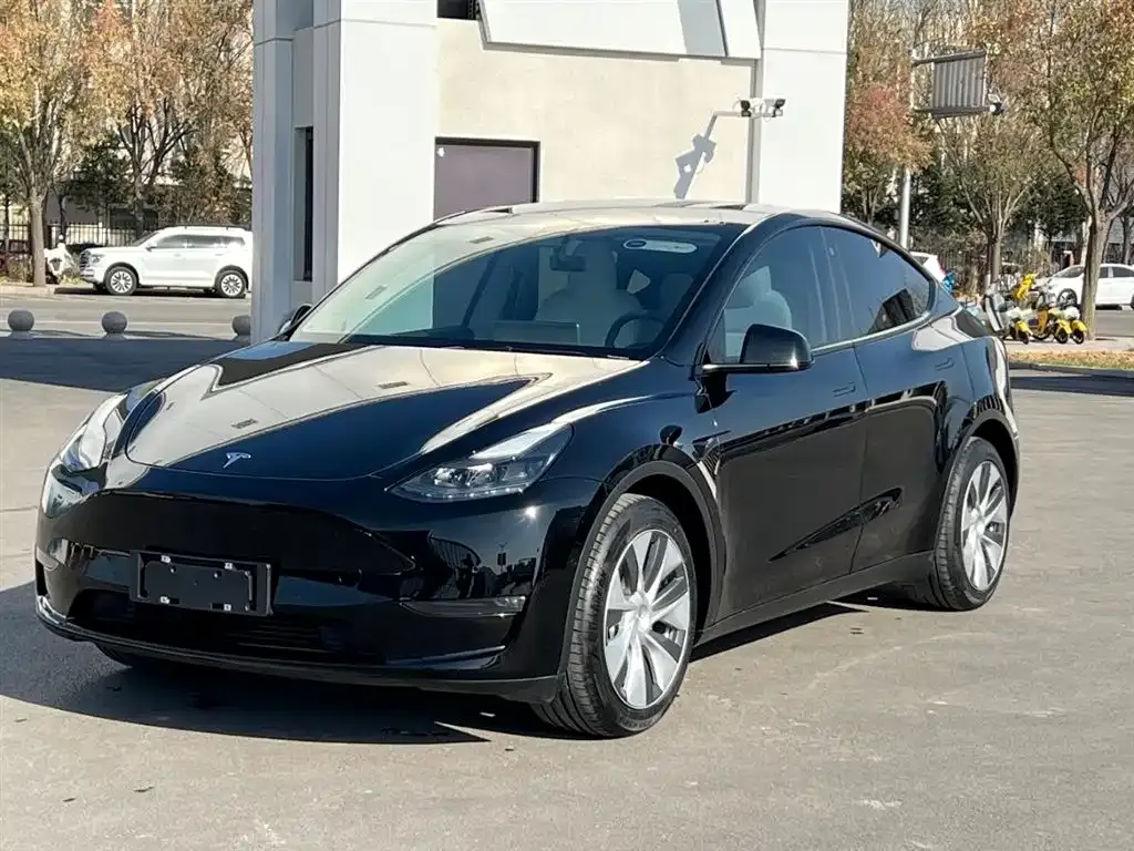 Tesla Model Y 2021 из CN, фото 3
