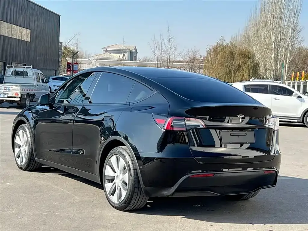 Tesla Model Y 2021 из CN, фото 4