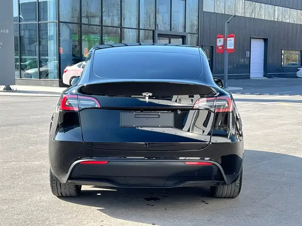 Tesla Model Y 2021 из CN, фото 5