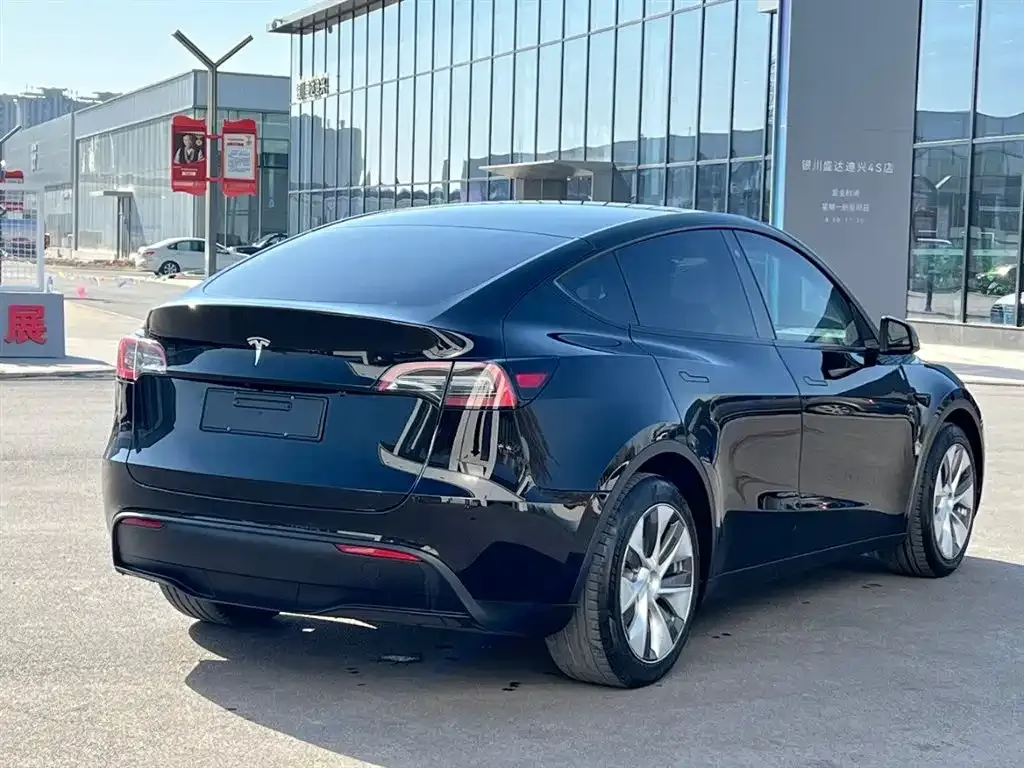 Tesla Model Y 2021 из CN, фото 6