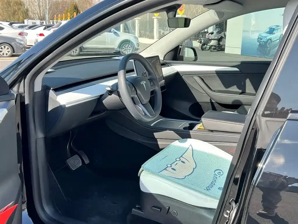 Tesla Model Y 2021 из CN, фото 7