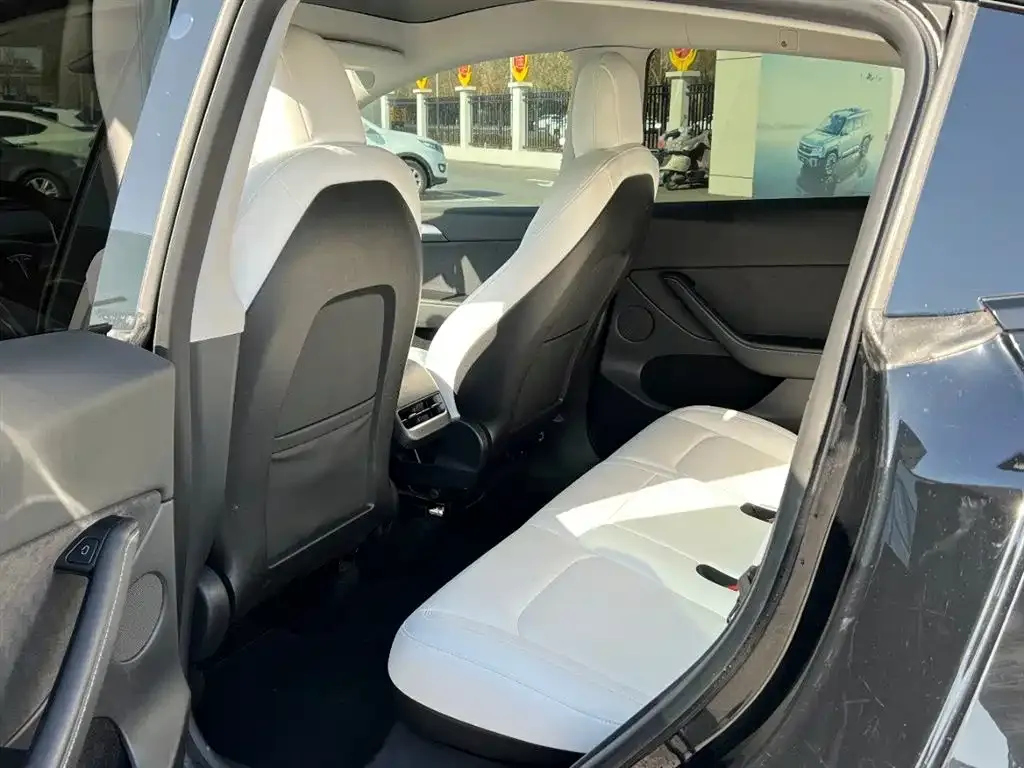 Tesla Model Y 2021 из CN, фото 8