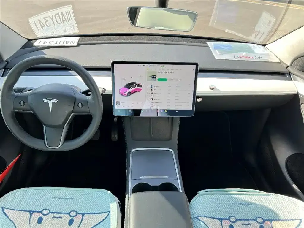Tesla Model Y 2021 из CN, фото 9