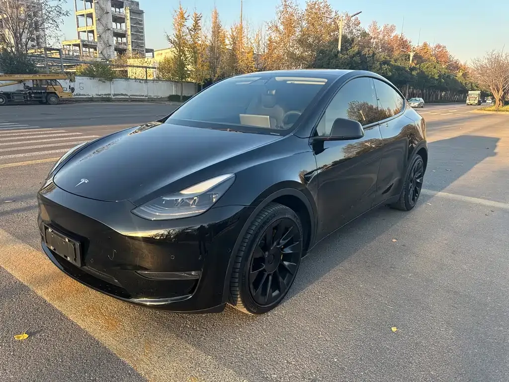 Tesla Model Y 2022 из CN, фото 1