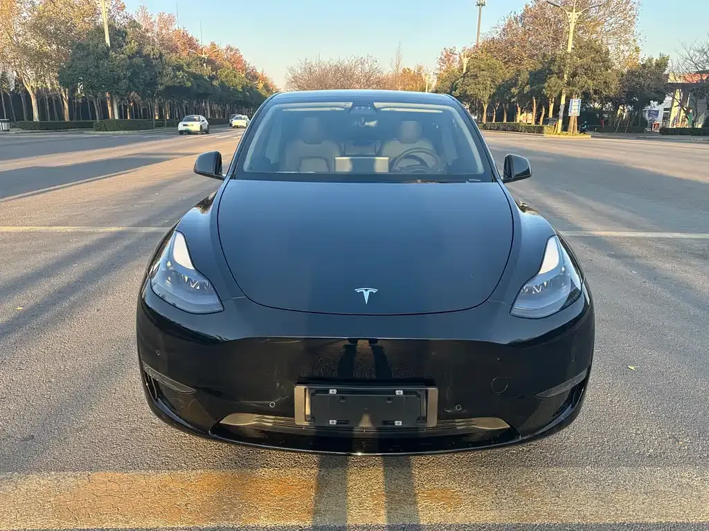 Tesla Model Y 2022 из CN, фото 9