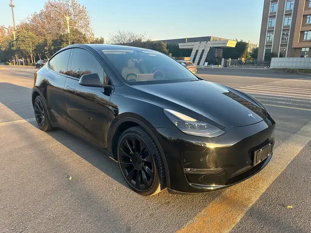 Tesla Model Y 2022 из CN, фото 8