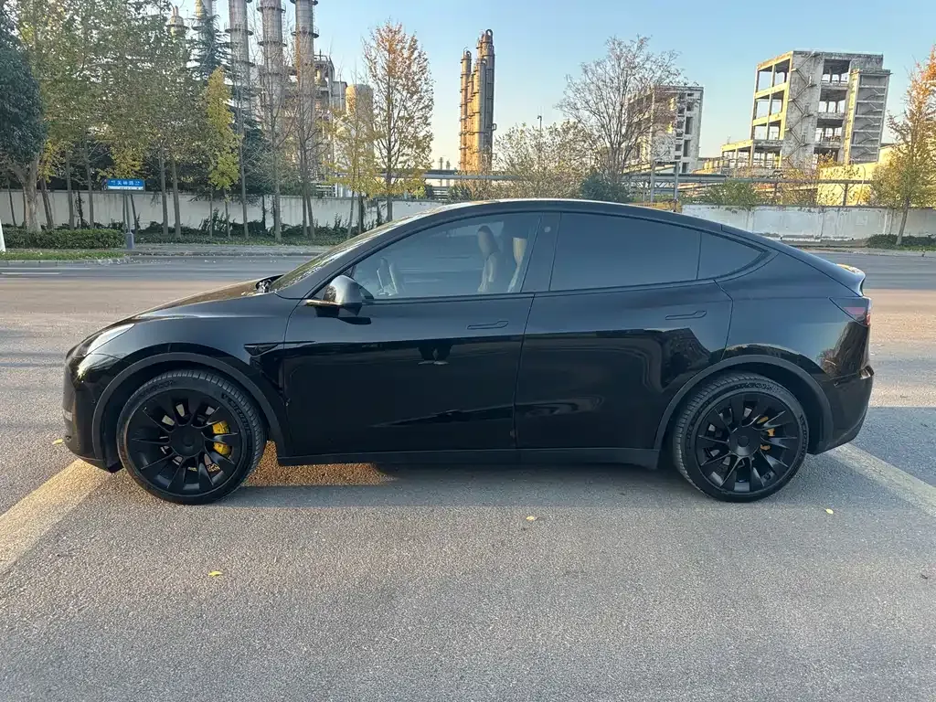 Tesla Model Y 2022 из CN, фото 5