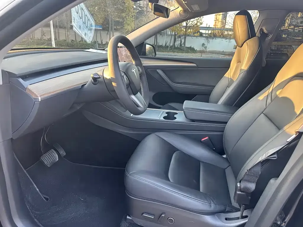 Tesla Model Y 2022 из CN, фото 4