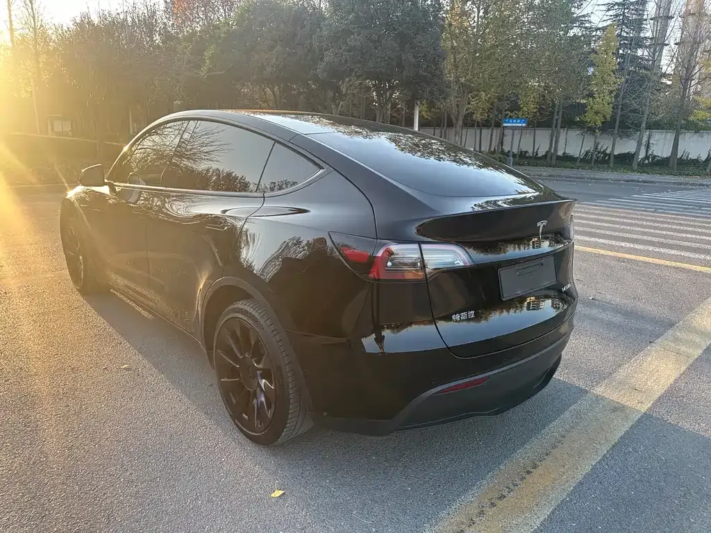 Tesla Model Y 2022 из CN, фото 7