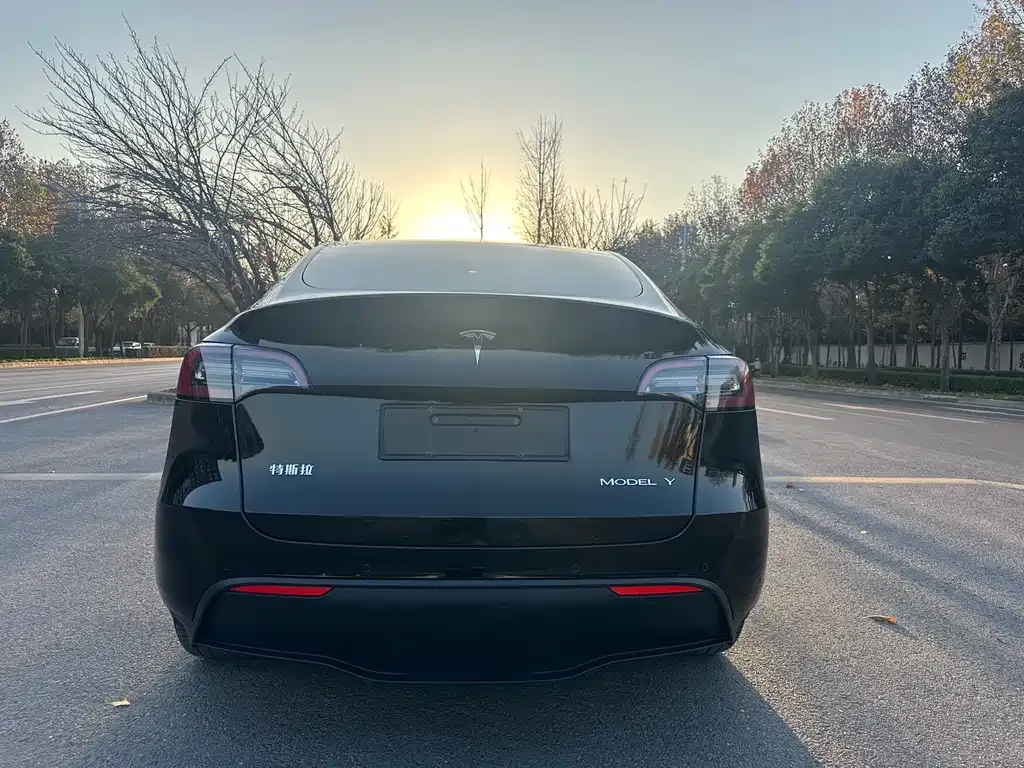 Tesla Model Y 2022 из CN, фото 3