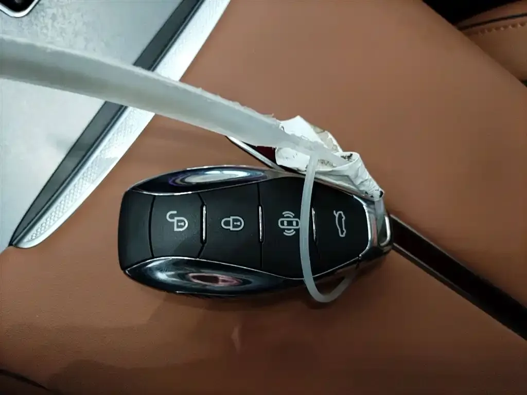 Hongqi HS7 PHEV 2025 из CN, фото 8