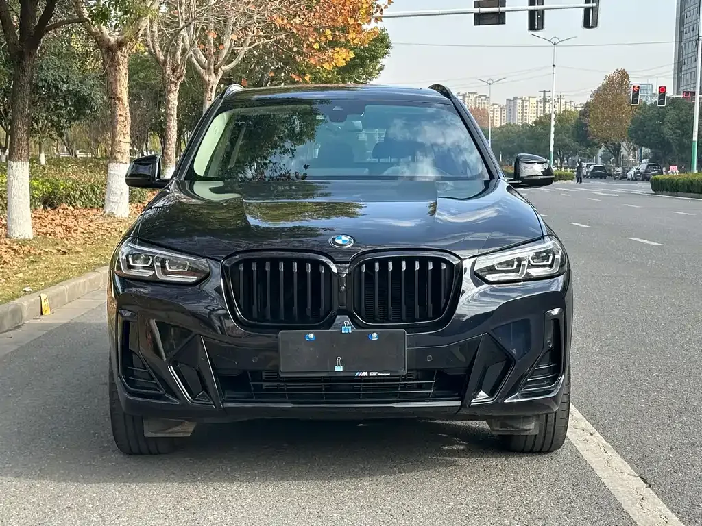 BMW X3 2024 из CN, фото 3