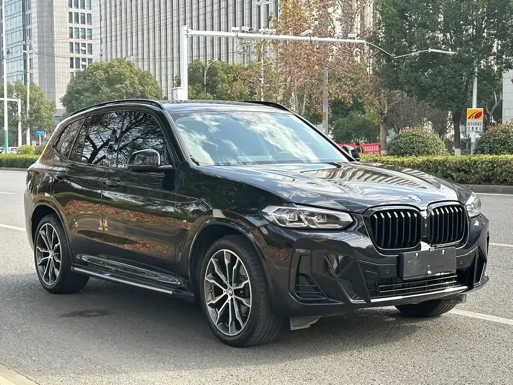 BMW X3 2024 из CN, фото 8