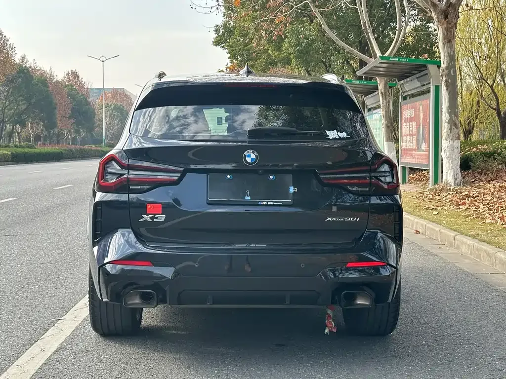 BMW X3 2024 из CN, фото 10